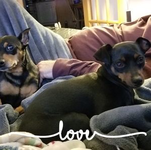 Meet your Posher, Joleen